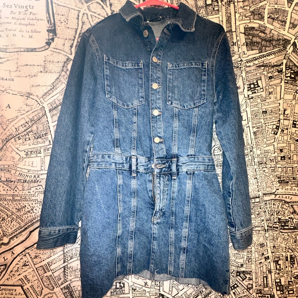 Zara Jean dress NEVER WORN